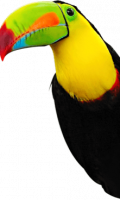 Toucan-Extended